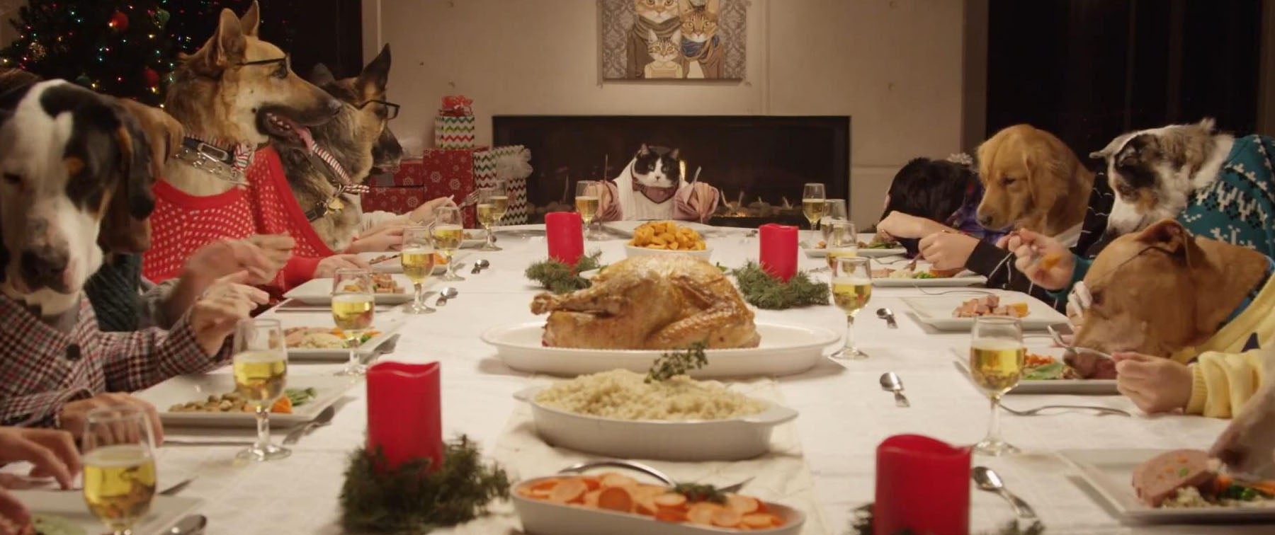 Christmas Dinner: The Dog Do's and Dont's