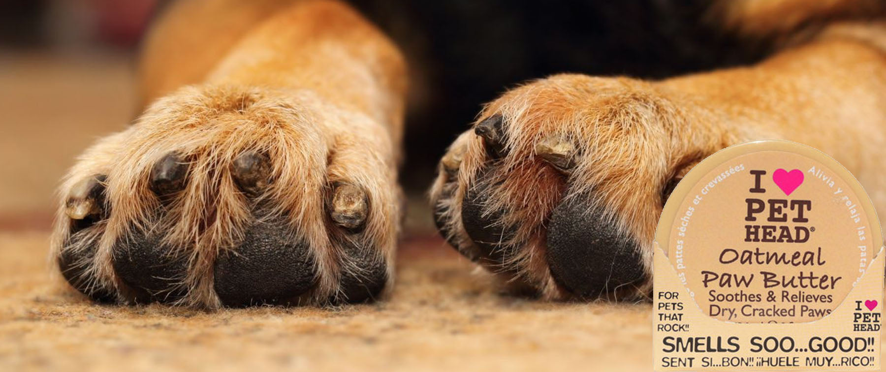 Pet Head Oatmeal Paw Butter Review Pet n Pony