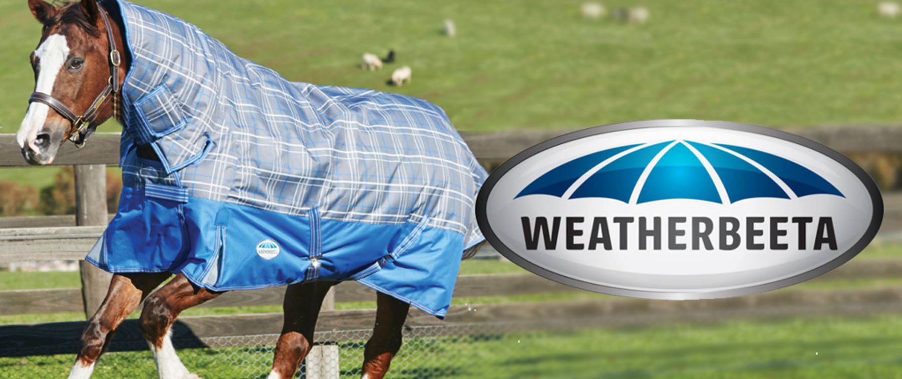 Why our Staff Love Weatherbeeta Rugs!