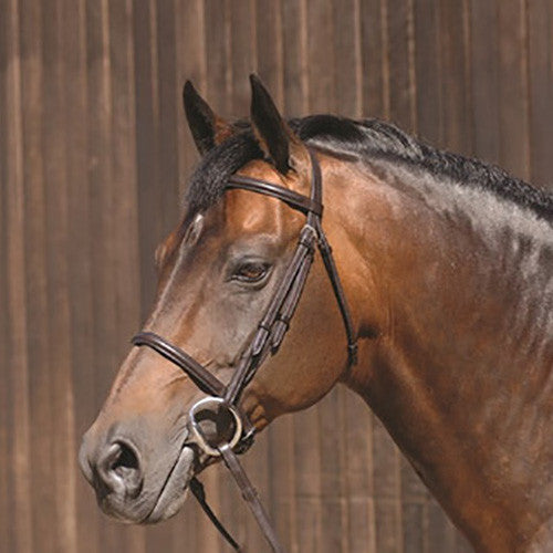 Bridles &amp; Accessories