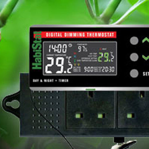 Reptile Thermostat
