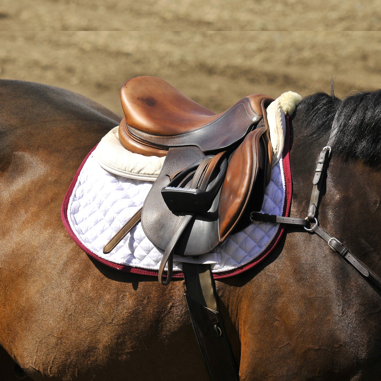 Saddles &amp; Accessories