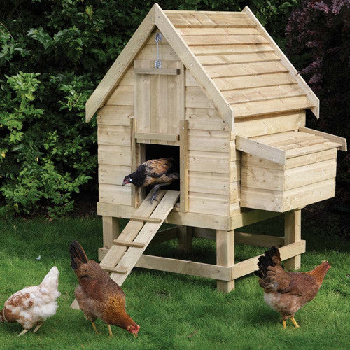 Chicken Coops &amp; Runs