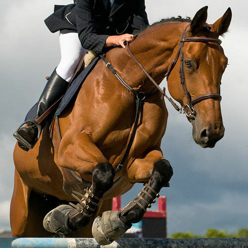 Horse Boots Wraps &amp; Pads