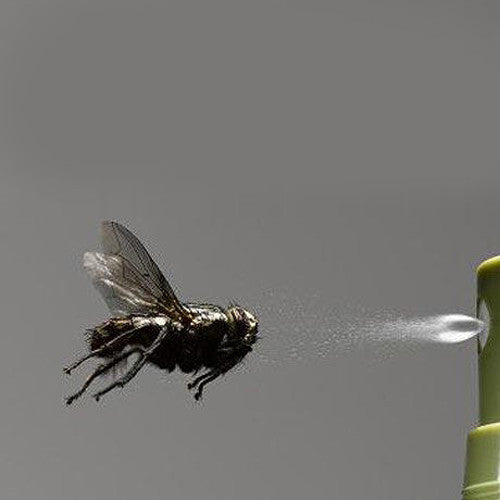 Fly Repellents
