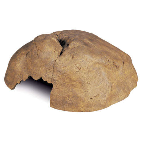 Reptile Ornaments &amp; Caves