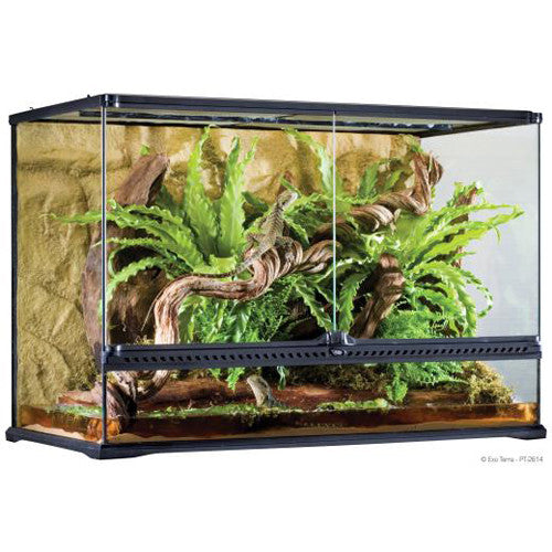 Reptile Housing