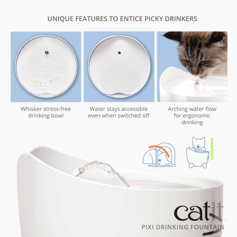 A cat drinks from a light blue Catit Pixi Fountain beside three ergonomic cat bowls.