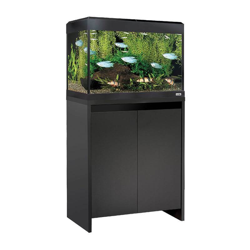 The Fluval Roma LED Aquarium Fish Tank Only by Fluval, with fish, plants, rocks, and LED lighting.