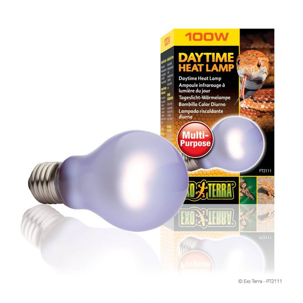 Exo Terra Daytime Heat Lamp 100W, ideal for terrarium heating and reptiles.