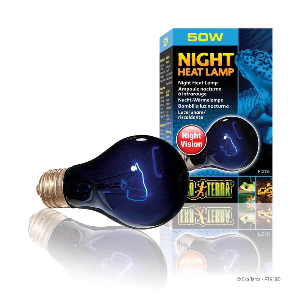 Exo Terra Night Heat Lamp 50W provides blue nocturnal lighting for night viewing.