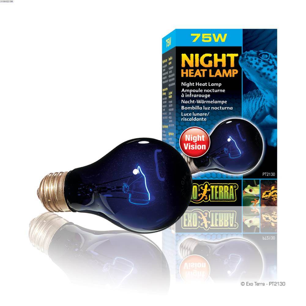 Exo Terra Night Heat Lamp 75W for reptile lighting and nocturnal viewing, with box.
