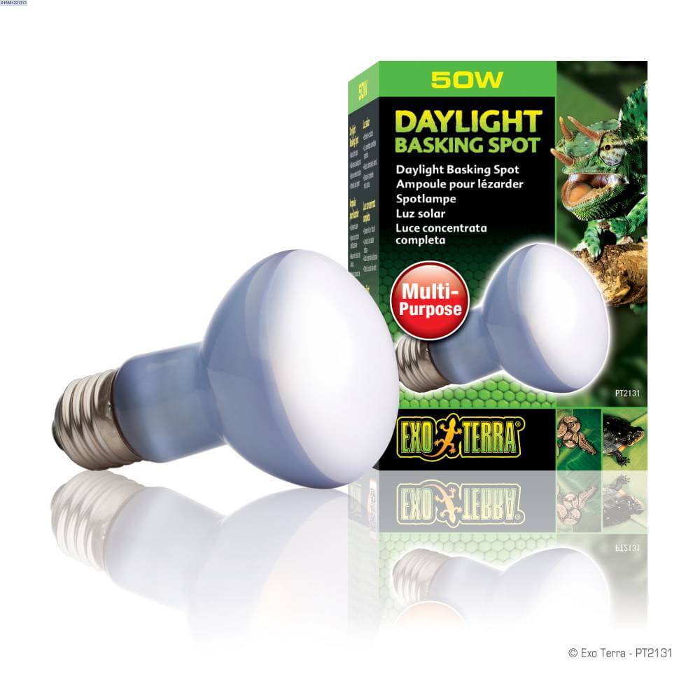 Exo Terra Sunglo R20 50w daylight basking lamp with UVA for reptile terrariums.