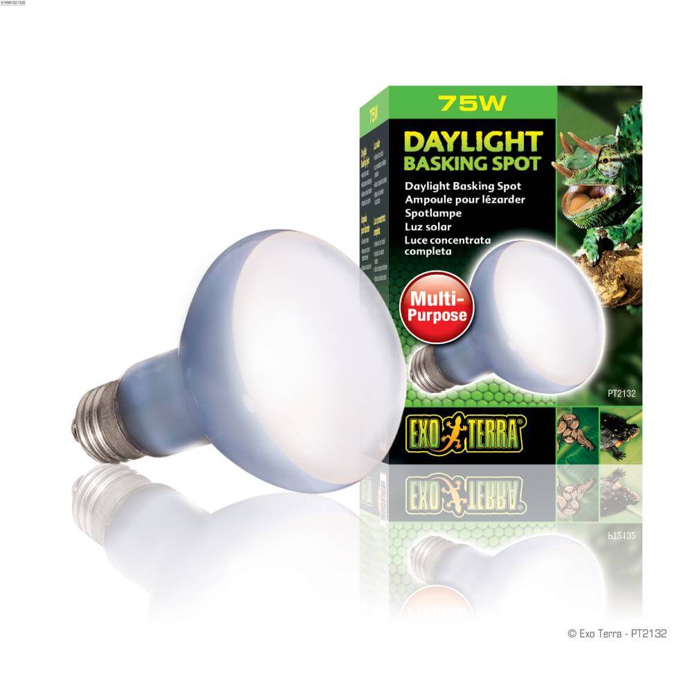 Exo Terra Sunglo R20 75W Daylight Basking Lamp with reptiles featured on the packaging.