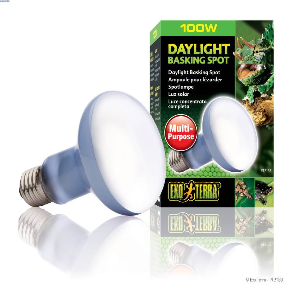 Exo Terra Sunglo R20 Daylight Basking Lamp 100W, ideal reptile heat lamp for terrariums.