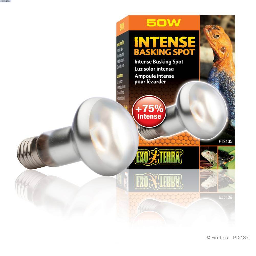 Two Exo Terra Intense Basking Spot Lamp 50w bulbs with lizard packaging for UVA basking needs.