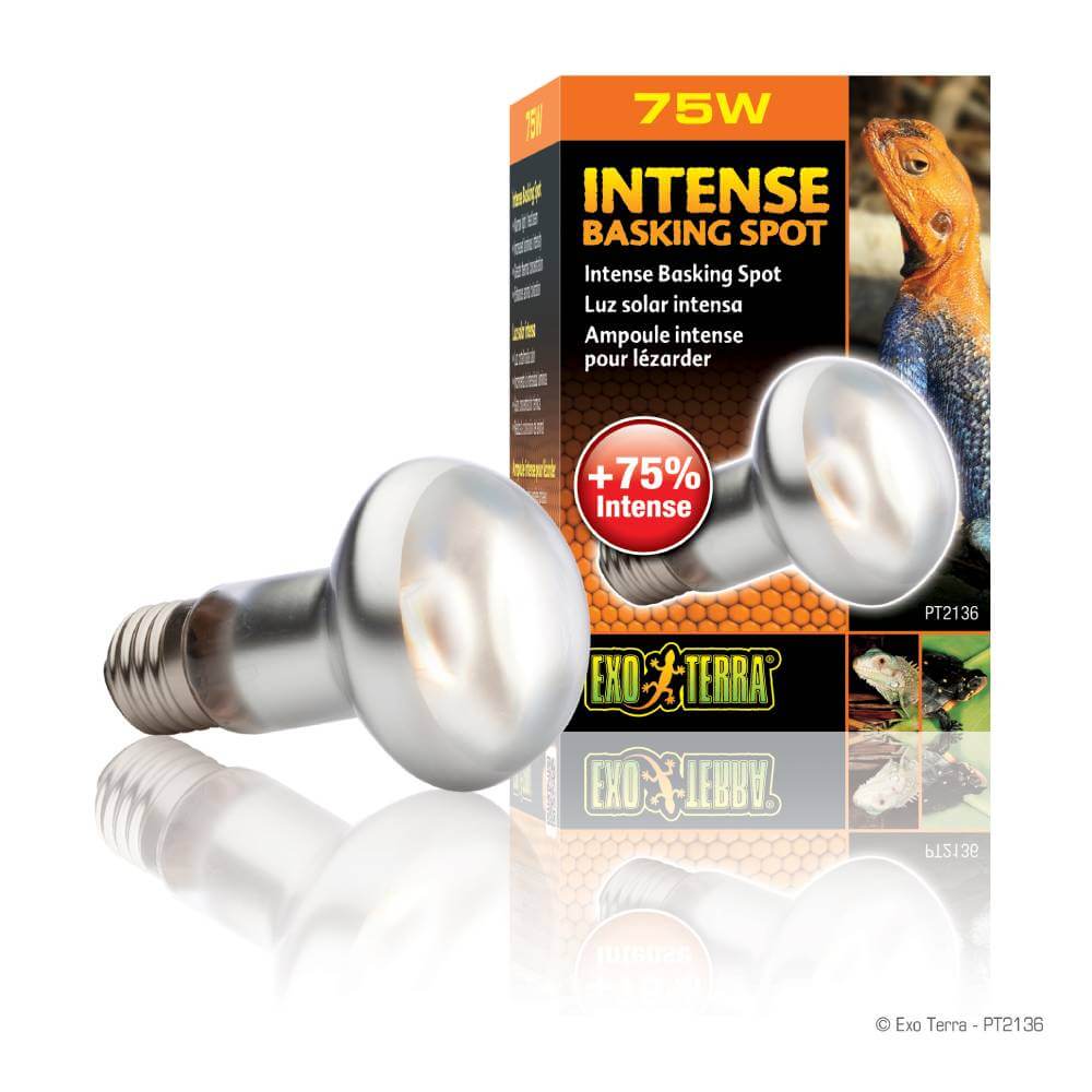 Exo Terra Intense Basking Spot Lamp 75W with reptile-themed packaging.