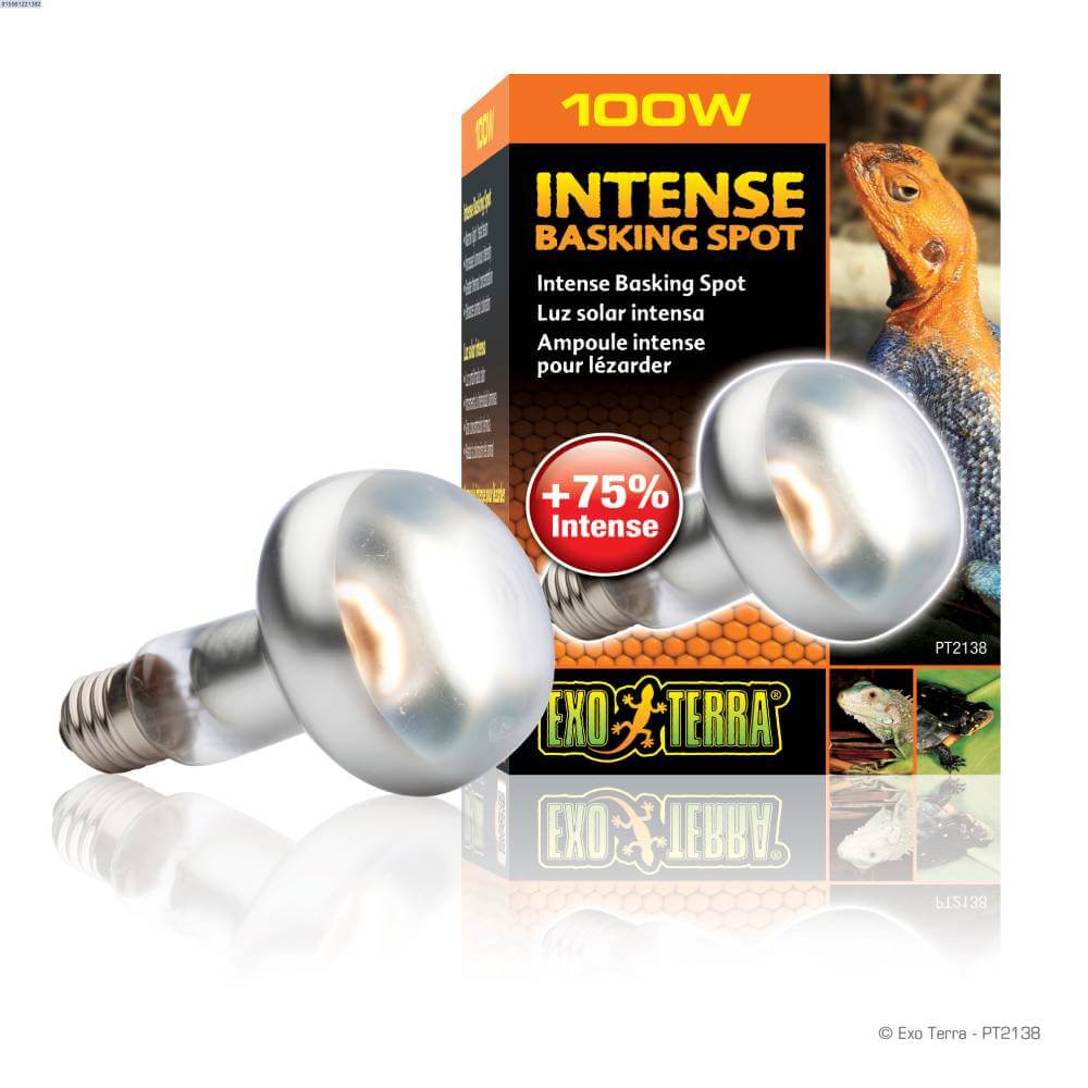 Two silver reptile heat lamps and an Exo Terra Intense Basking Spot Lamp 100W box.