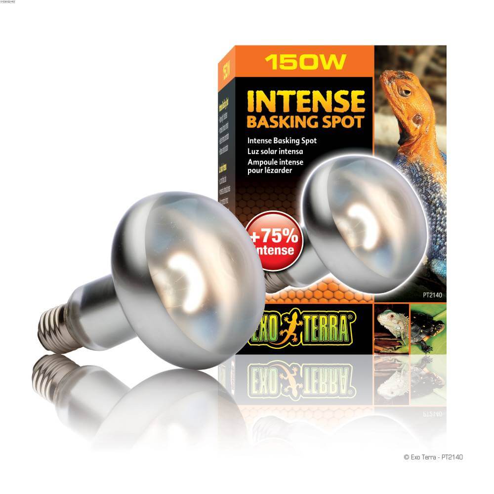 Two Exo Terra Intense Basking Spot Lamp 150w bulbs with reptile packaging.