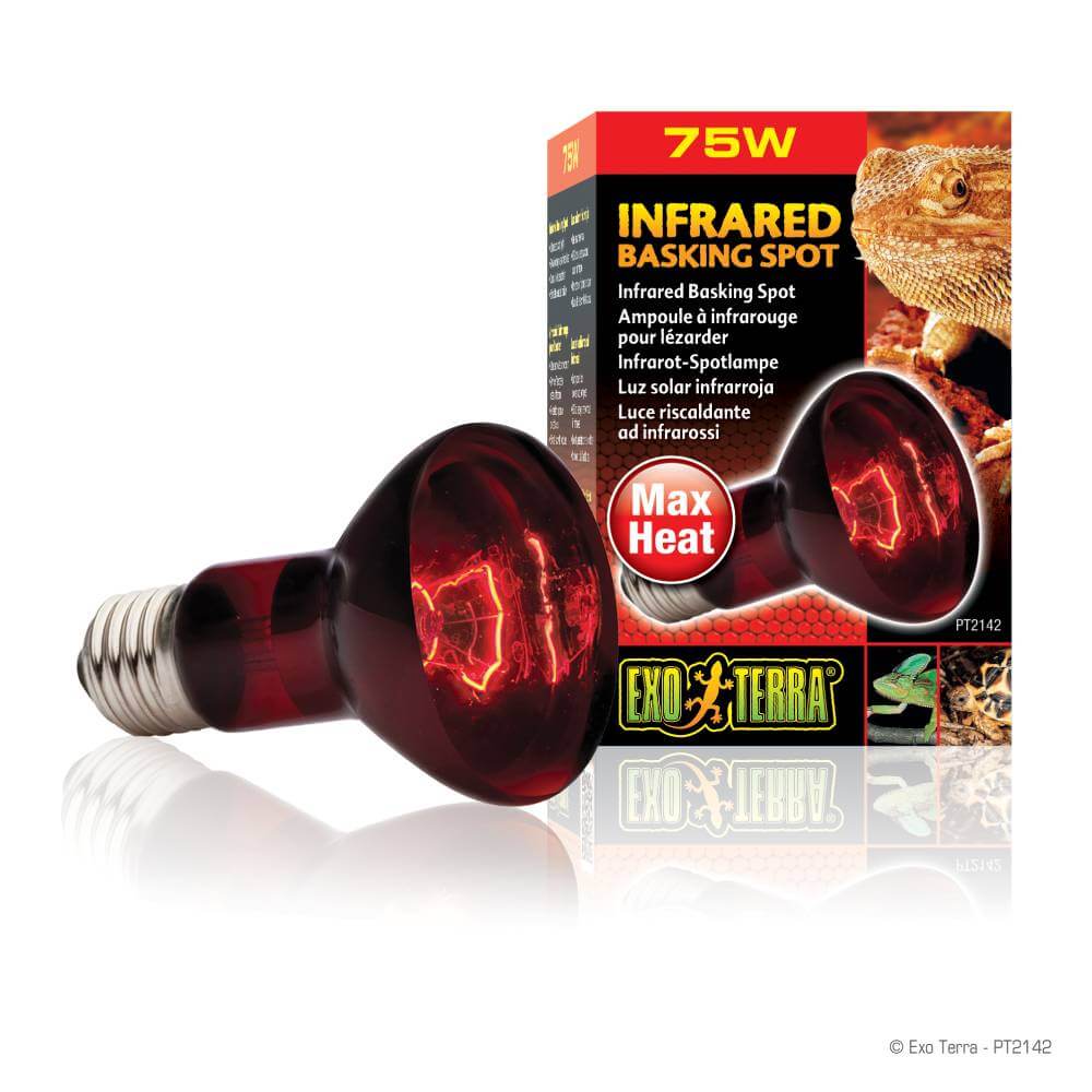 Exo Terra Infrared Basking Spot 75W is a terrarium heat lamp for 24-hour heating.