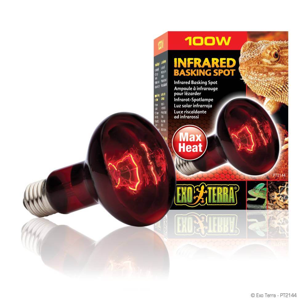 Exo Terra Infrared Basking Spot 100w, ideal 24-hour reptile heat lamp with packaging.