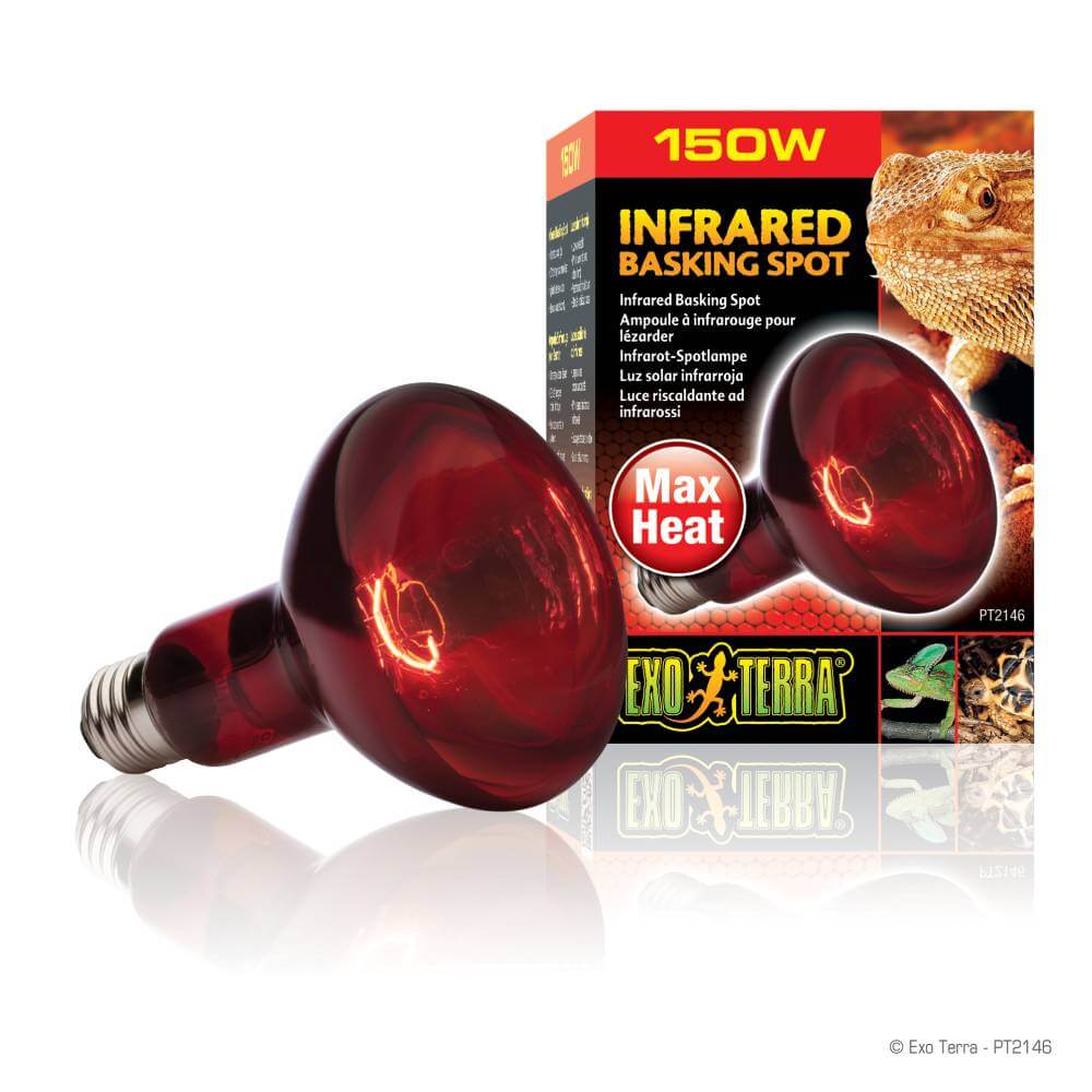 Exo Terra Infrared Basking Spot 150w, ideal heat lamp for terrarium reptiles.