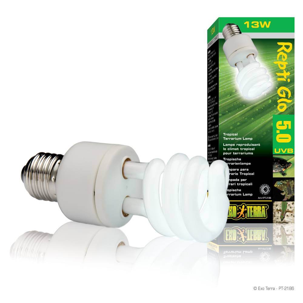 An Exo Terra Reptiglo 5.00 Compact Tropical Lamp T10 13w next to its green and yellow box.