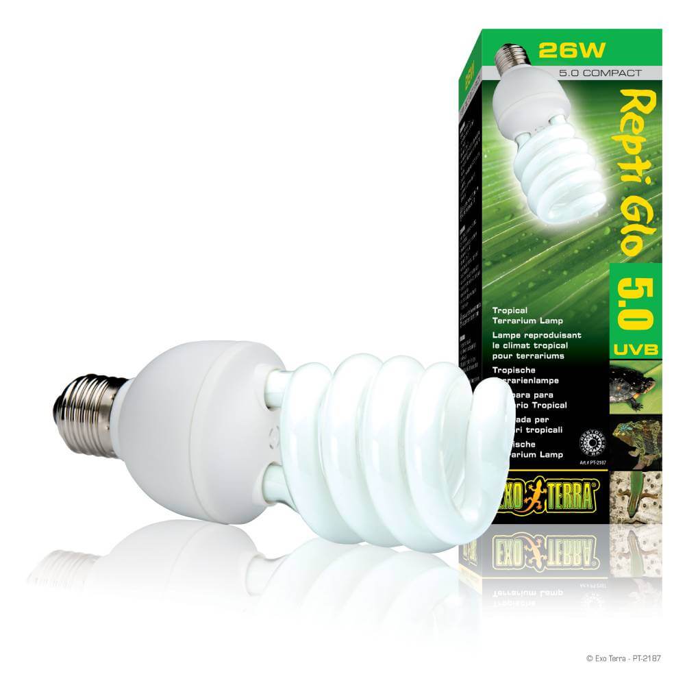 Exo Terra Reptiglo 5.00 Compact Tropical Lamp T10 26w next to its green and yellow box.