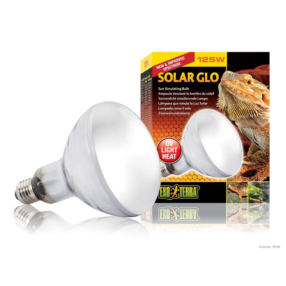 Exo Terra 125W Solar Glo Sun Simulating Lamp with packaging and a bearded dragon.