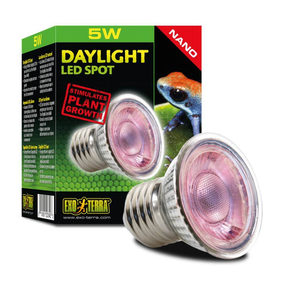 Exo Terra Daylight LED Spot NANO 5W bulbs pictured in front of Exo Terra bulb box.