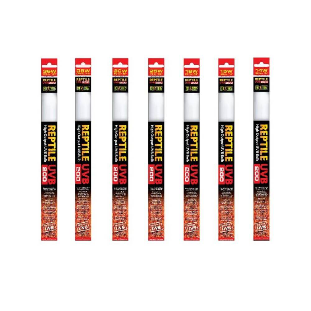 Seven Exo Terra Bulb 200s in black and orange packaging, standing upright.