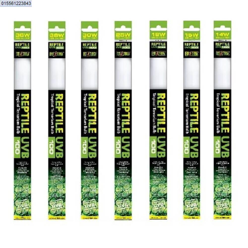 Seven Exo Terra Bulb 100 UVB bulbs stand upright in a row.