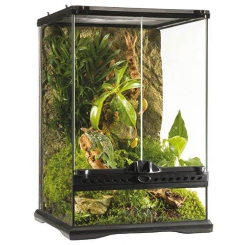Exo Terra Glass Terrarium 30x30x45cm-Pet n Pony-Exo Terra