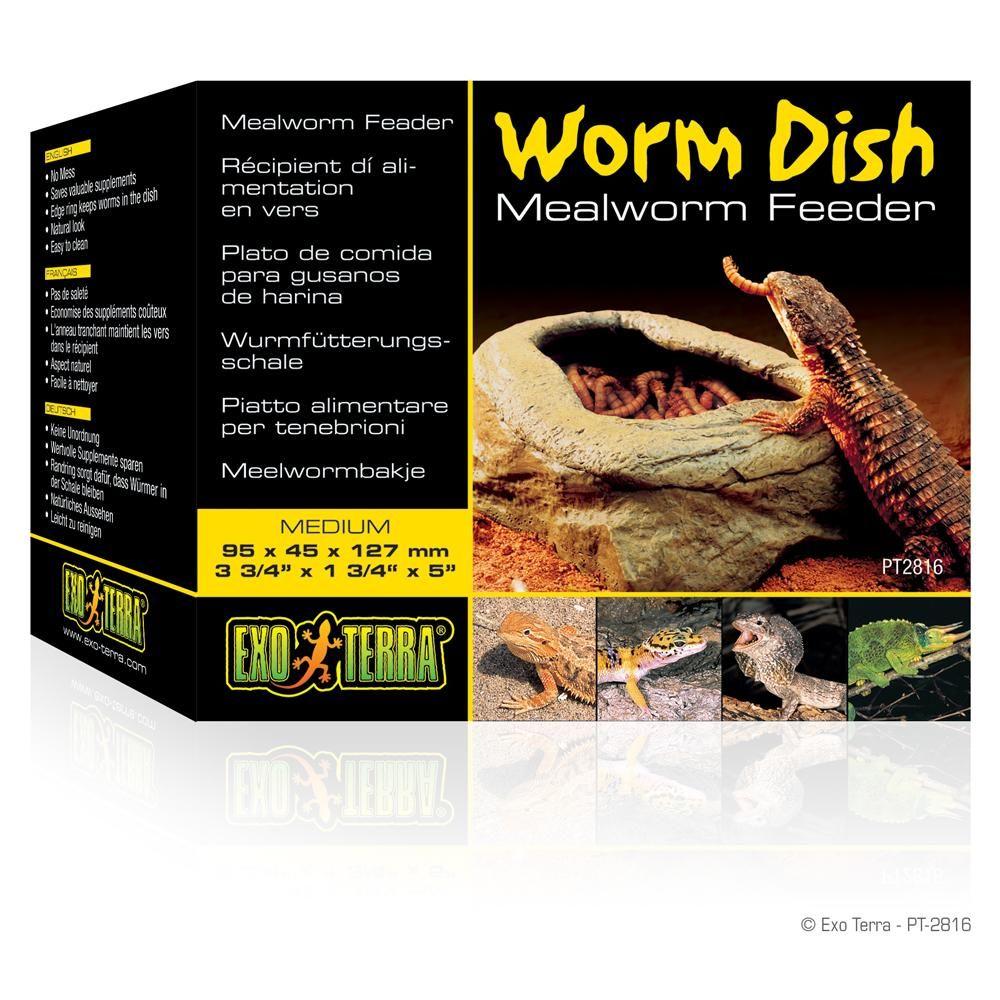 Exo Terra Worm Dish Feeder—a convenient mealworm feeder for reptiles.