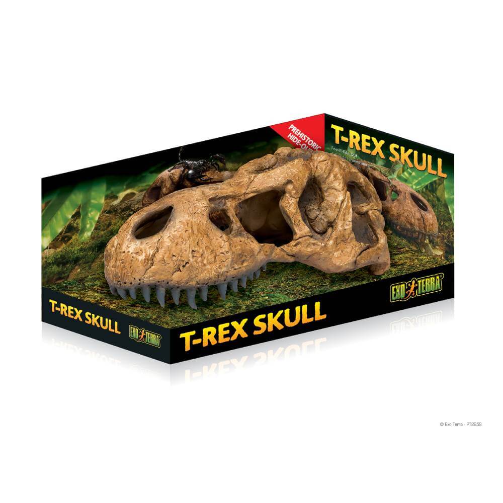 Exo Terra T Rex Skull terrarium decor in black and green box with yellow text.