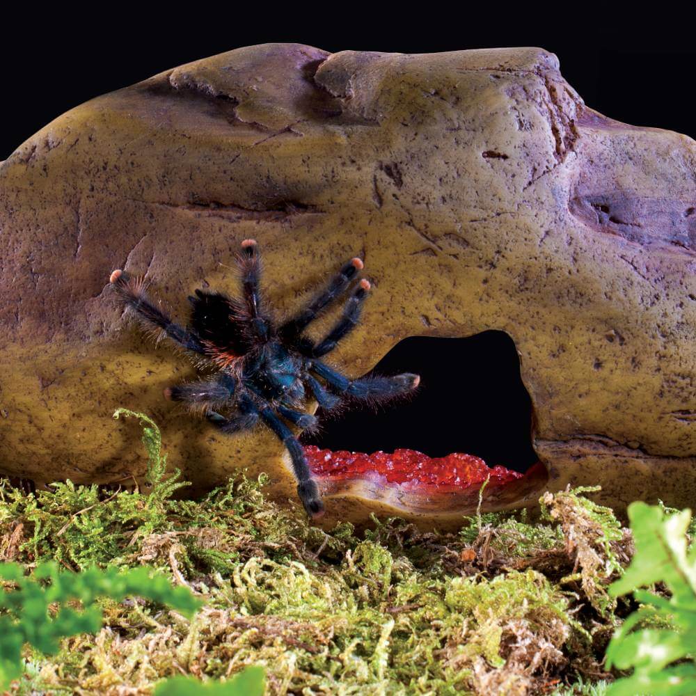 Exo Terra Crystal Cave Medium—decorative reptile hide for terrariums by Exo Terra.