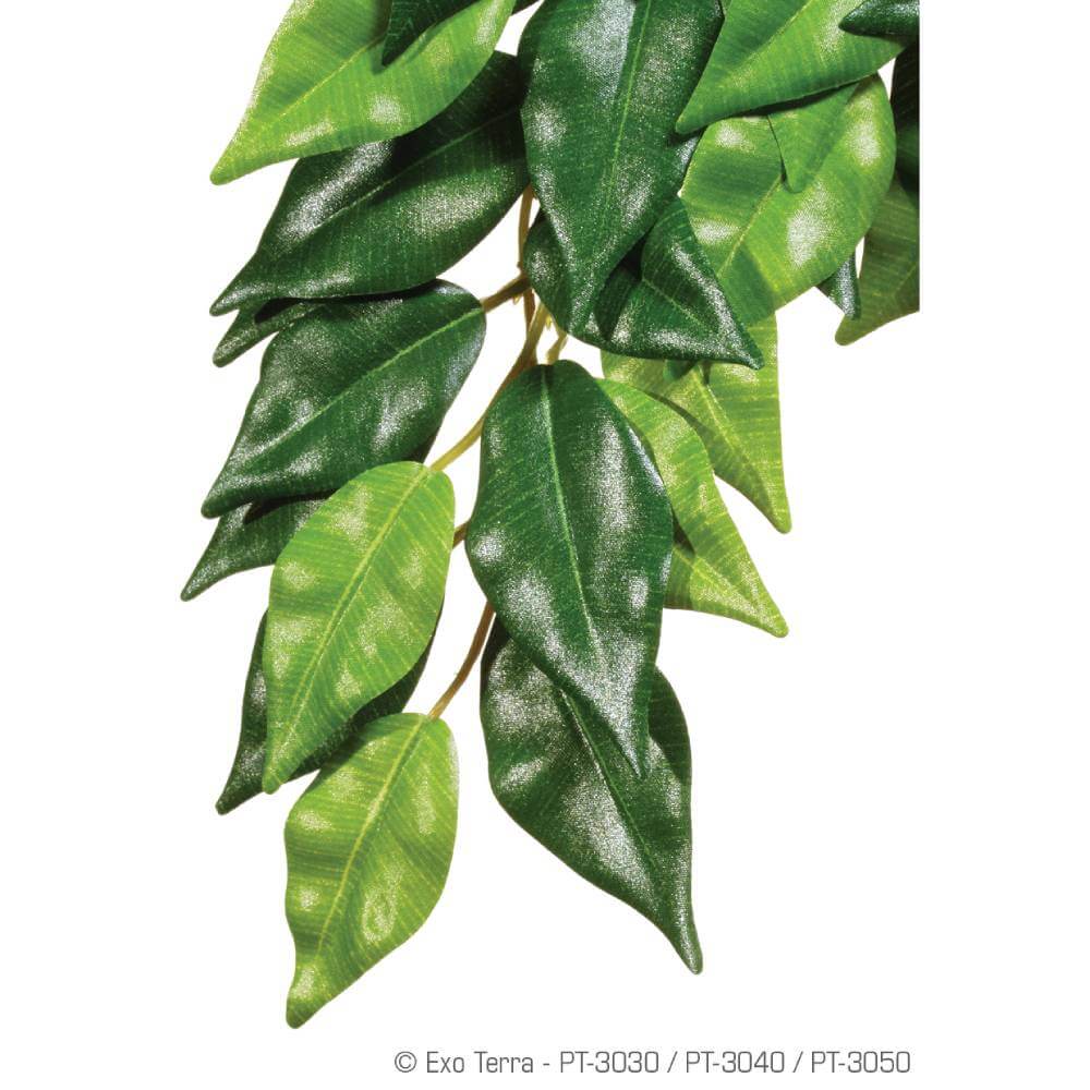 Exo Terra Fiscus Plant Small is a lifelike artificial plant for decorating reptile habitats.