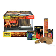 Leopard sales gecko kit