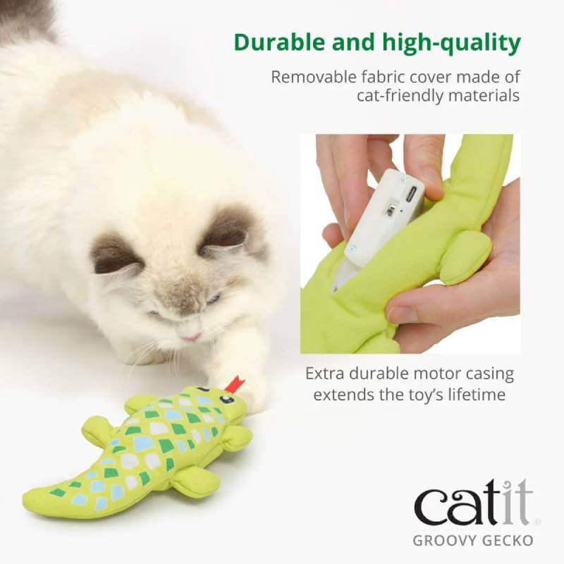A fluffy cat plays with the Catit Mini Groovy Gecko Green motion-activated toy on white.