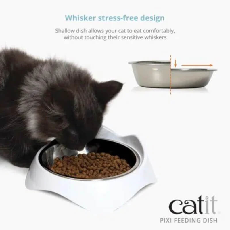 Black cat eating from a whisker-friendly Catit Pixi Single Dish White by Catit.