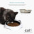 Catit Pixi Single Dish White-Pet n Pony-Catit