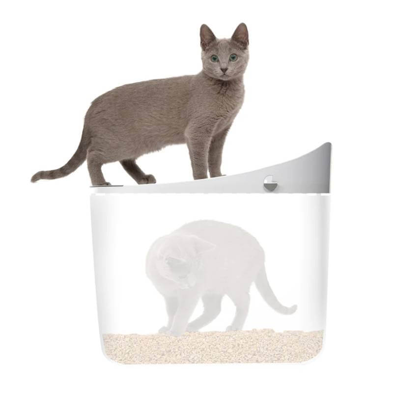 Gray cat on a Catit Pixi Top Entry Litter Box Grey with a semi-transparent view of a cat inside.