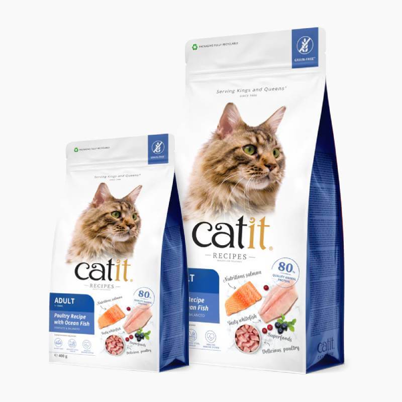 Catit Recipes Adult Cat Dry Food Ocean Fish