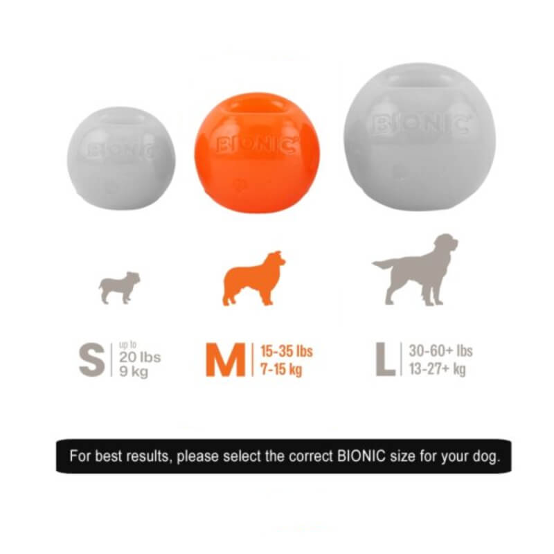 Bionic Bionic Ball set—durable fetch toys in 3 sizes with weight guides included.
