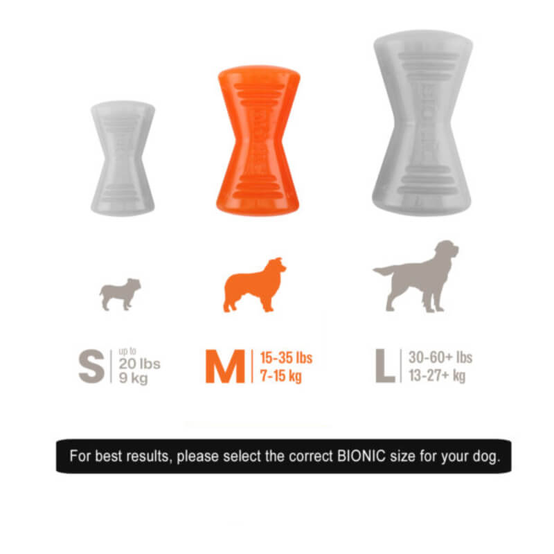 Three Bionic Bone chew toys by Bionic for heavy chewers, sizes: small, medium, large.