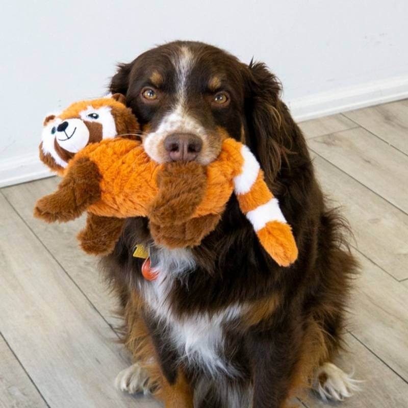 KONG Scampers Red Panda Medium dog toy, with squeaker, in red packaging.