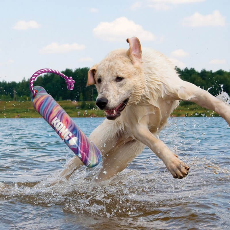 Dog leaps into water, fetching Kong Wild Shieldz Training Dummy Swirl S/M on a sunny day.