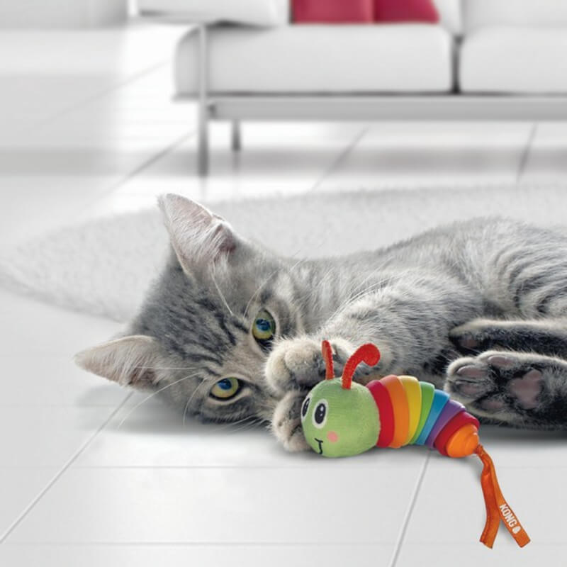 Gray kitten plays with a Kong KONG Bat-A-Bout Clackz Caterpillar cat toy on a white floor.