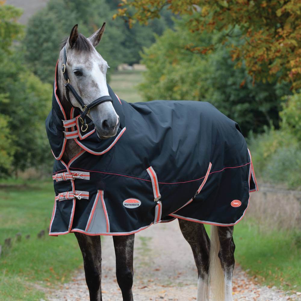 Gray horse wears Weatherbeeta Comfitec Premier Therapy-Tec Black Silver Red on a treed path.