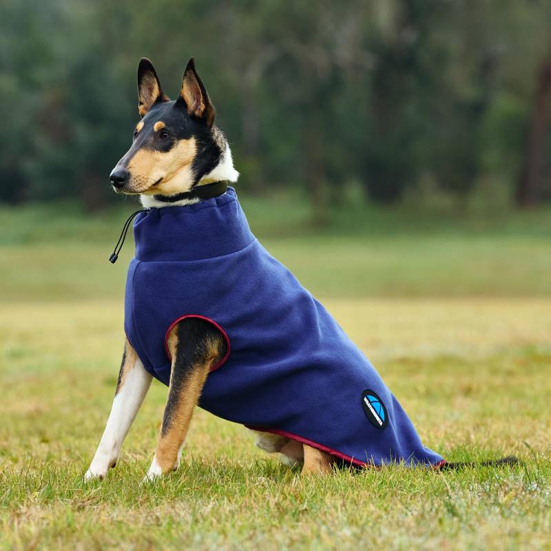 A dog in a Weatherbeeta Comfitec Fleece Zip Dog Coat sits on grass with trees behind.